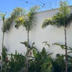 Espaço (6)
