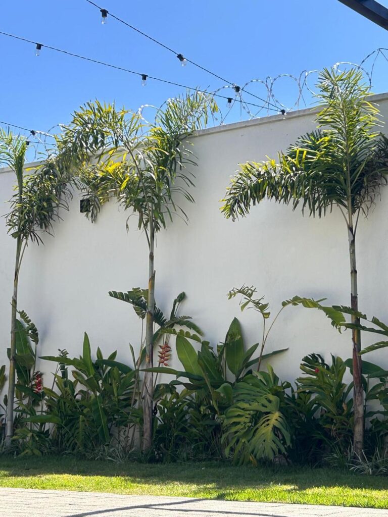 Espaço (6)