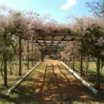 Recanto Feliz (2)